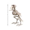 ESQUELETO PAJARO HALLOWEEN 190*12 CM